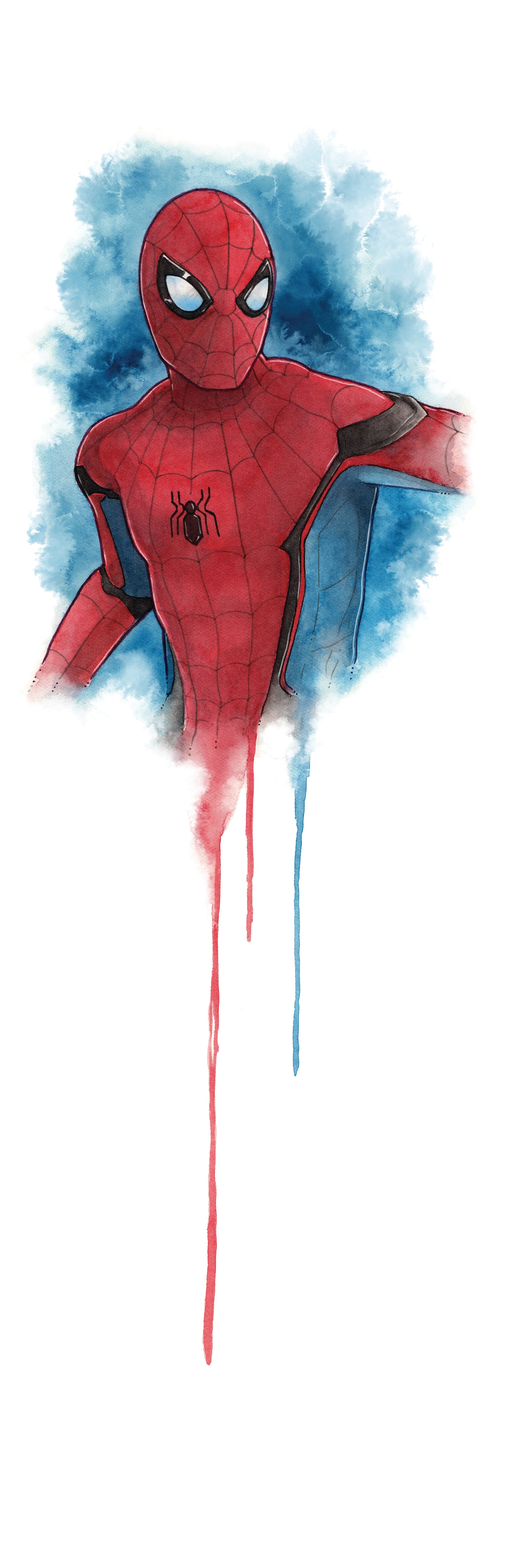 The Amazing Spider-Man